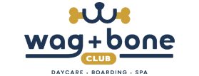 Hire Nodejs | Wag+bone